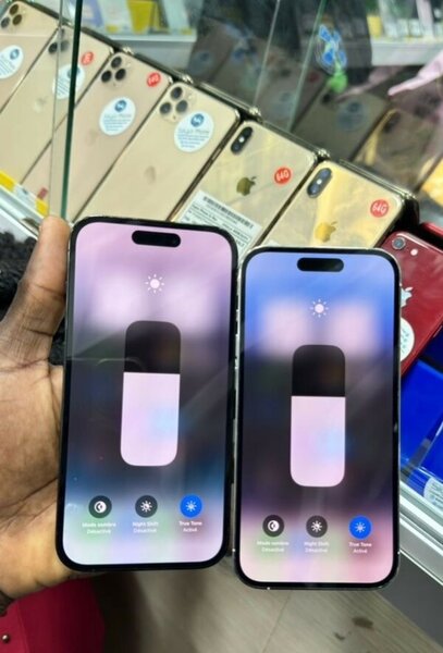 iPhone 13Pro Max - 256 Go