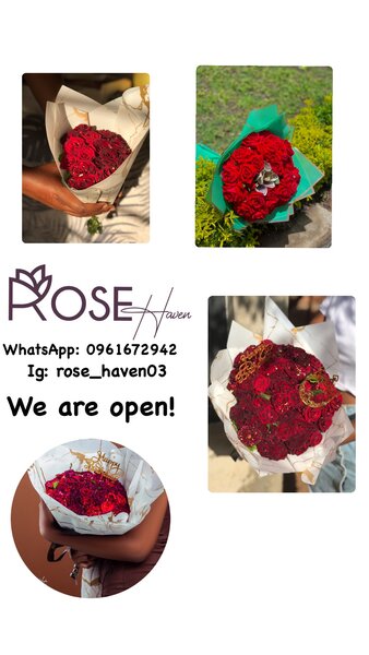 Rose Haven