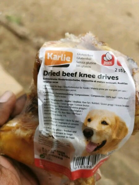 Os pour chien