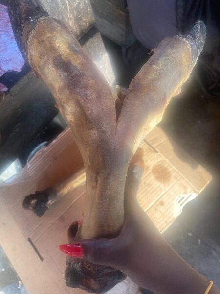 Dry Kotodwe