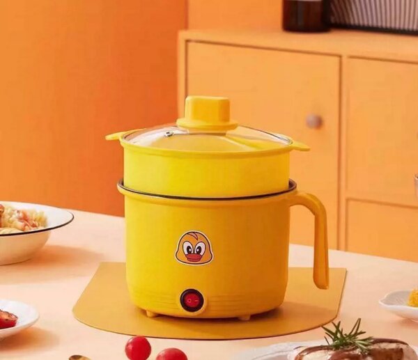 Marmite électrique 