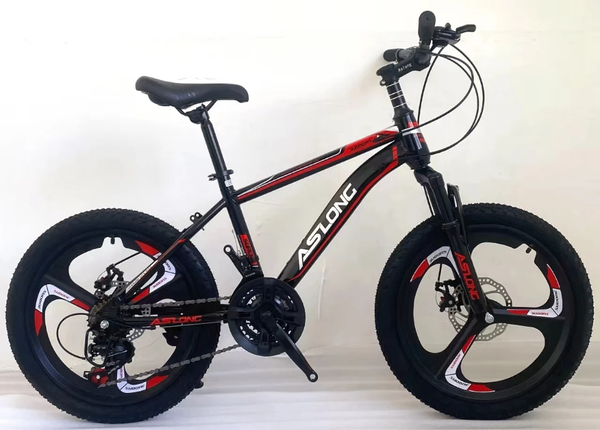 Vélo VTT Aslong robuste