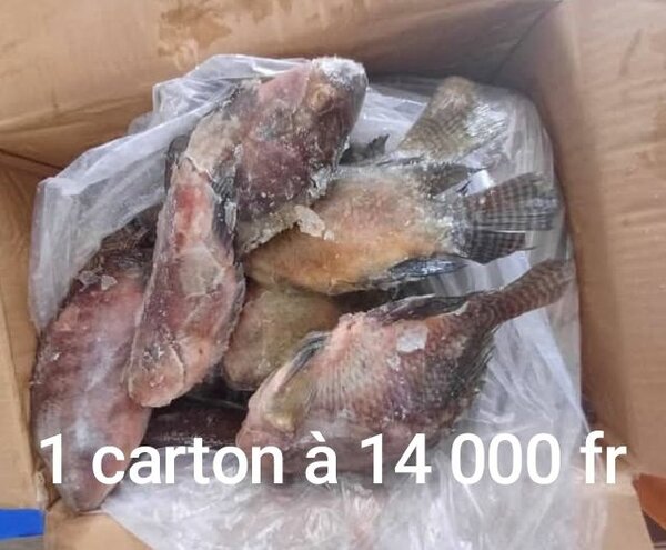 Sosso américain