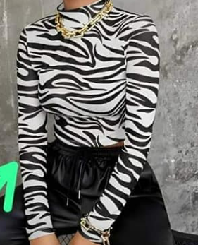 Ladies top