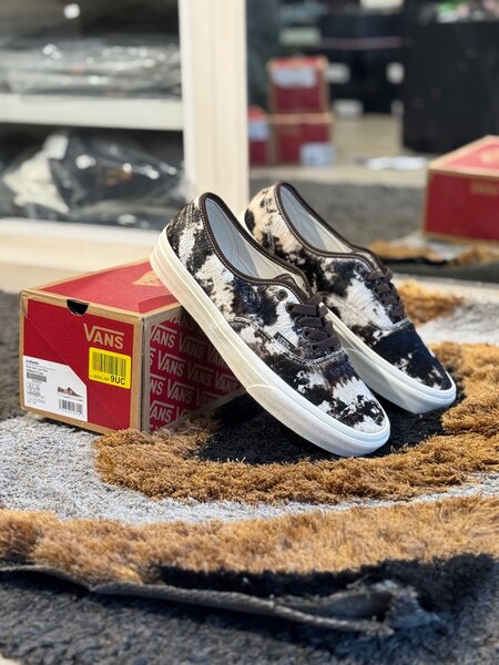 Vans Slip-On Shoes Motif