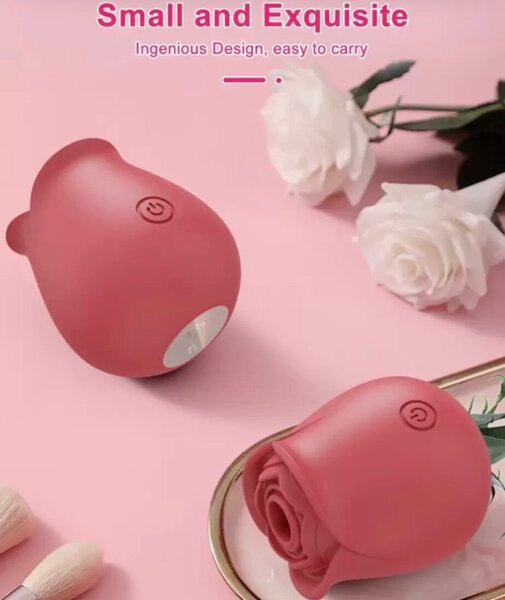 Aspirateur Rosetoys