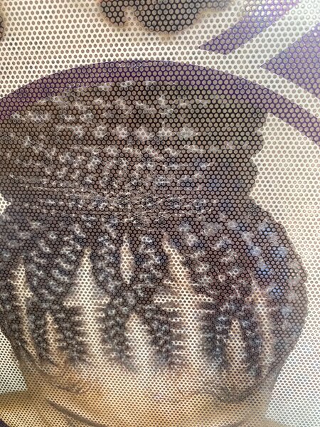 Hair Braids