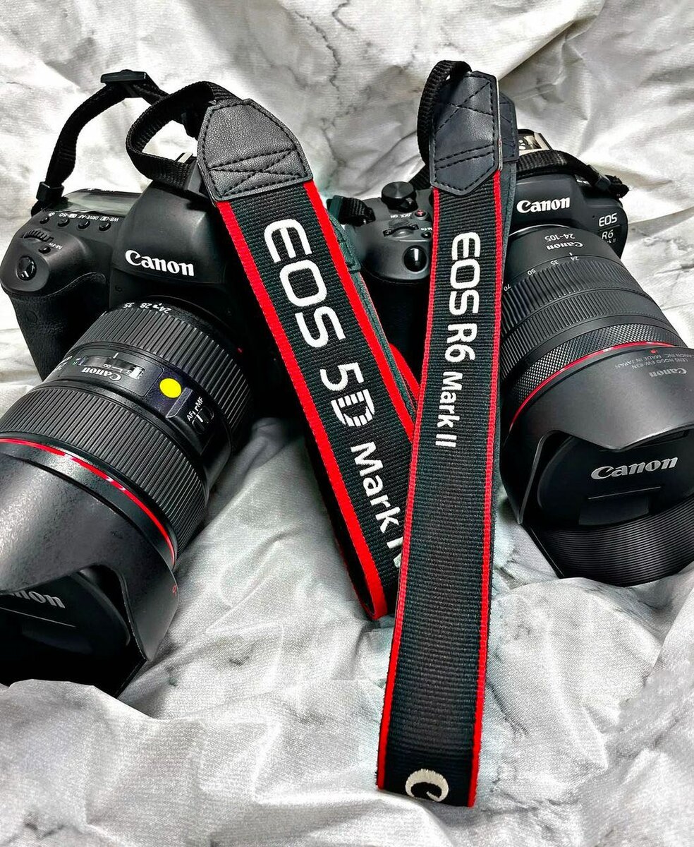 Ronin camera