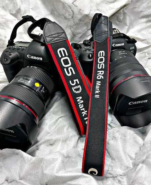 Ronin camera