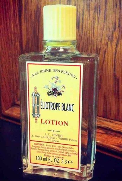 Héliotrope blanc