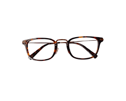 Lunettes élégantes unisexes