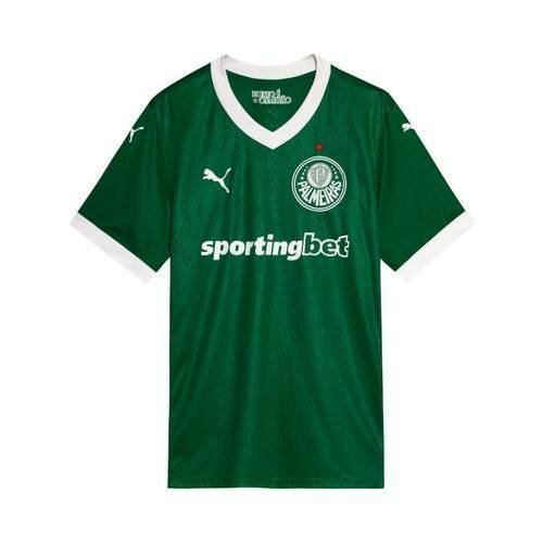 Maillot Palmeiras Puma Homme