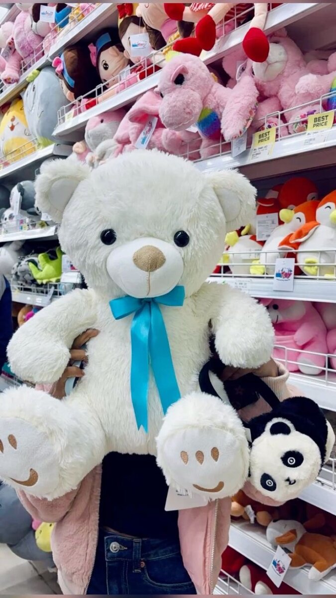 Teddy bear
