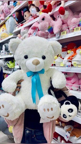 Teddy bear