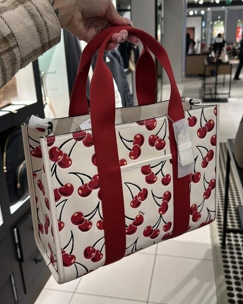 Ladies bag