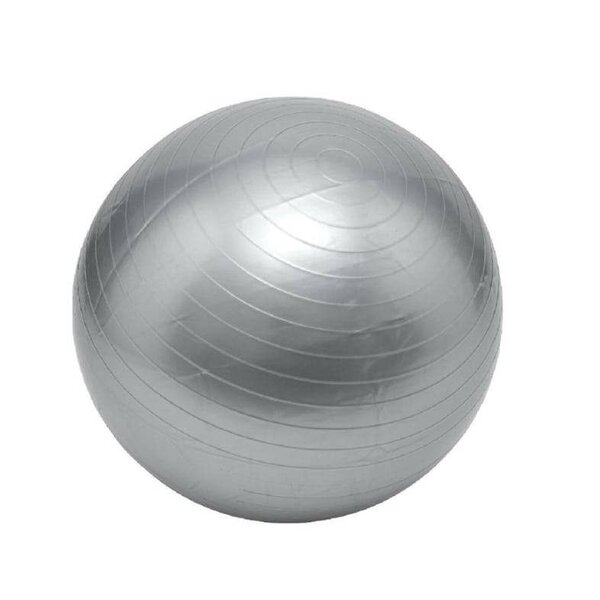 Balle de fitness 65cm