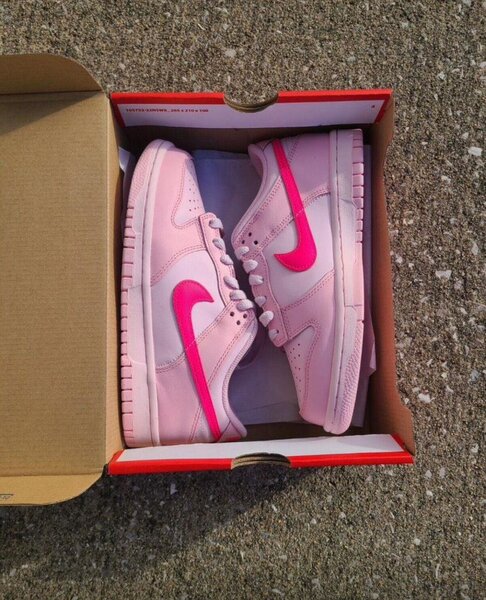 Nike SB sneakers