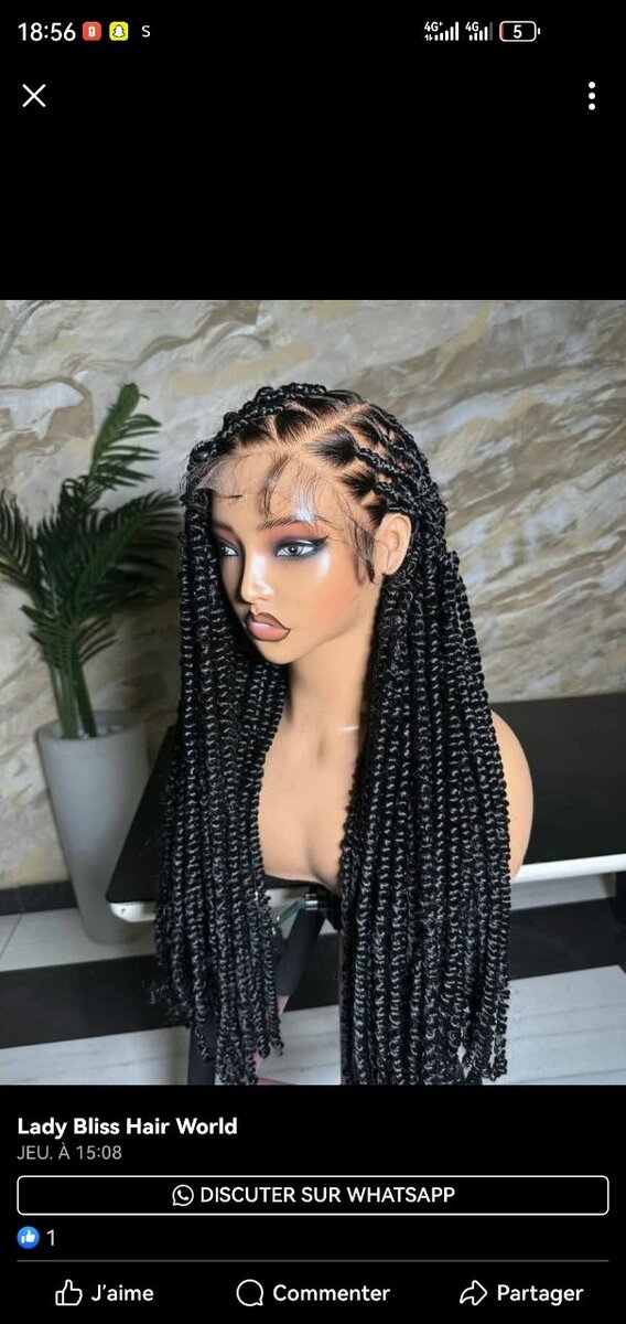 perruque tresse