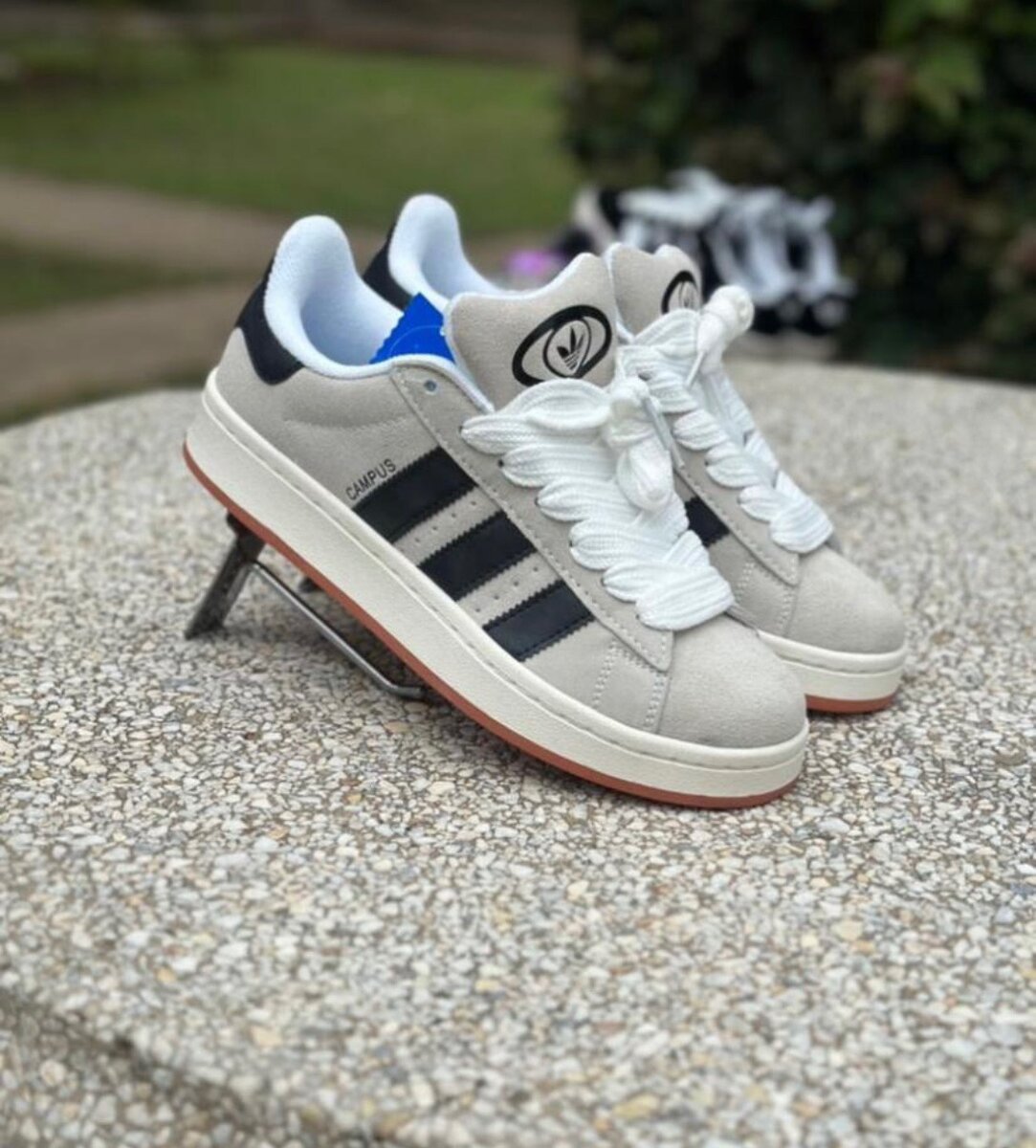 Adidas campus