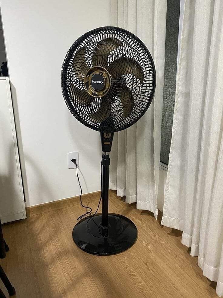 Fan