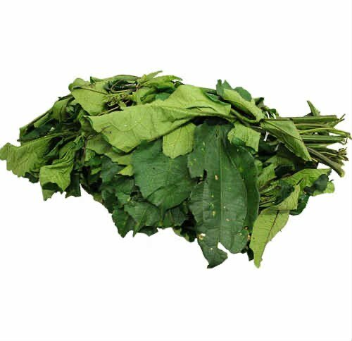 Ogu leaves