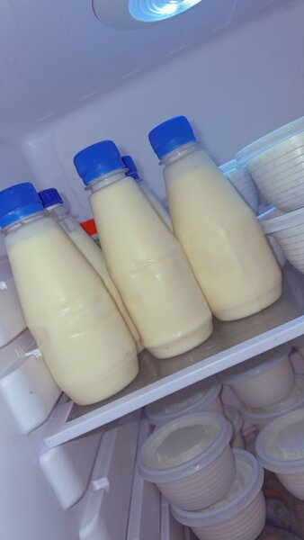 Lait Fermenté Frais