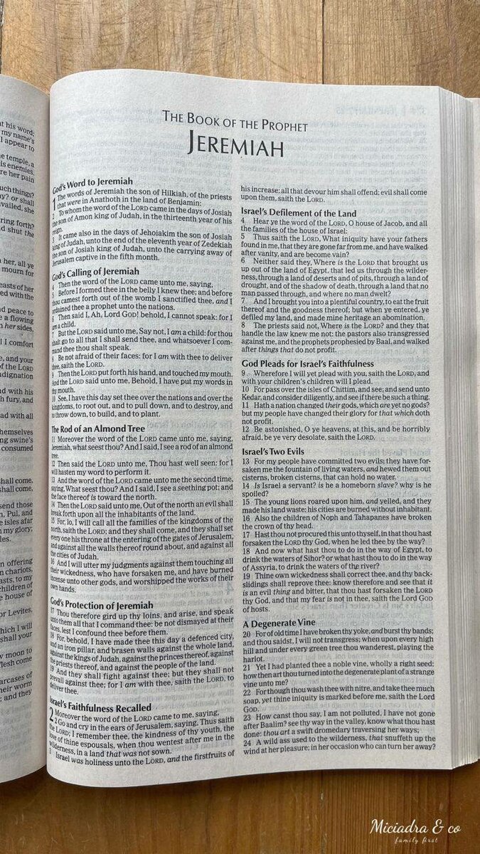 KJV Holy Bible