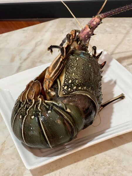 Lobster