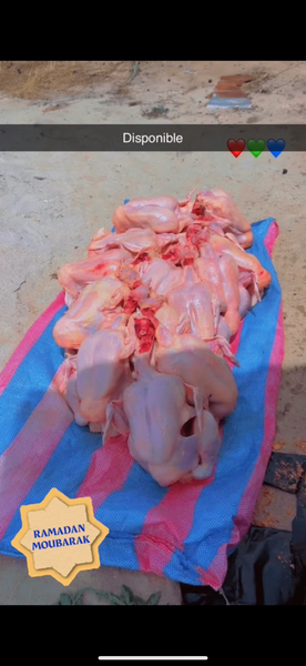 Poulet de chair