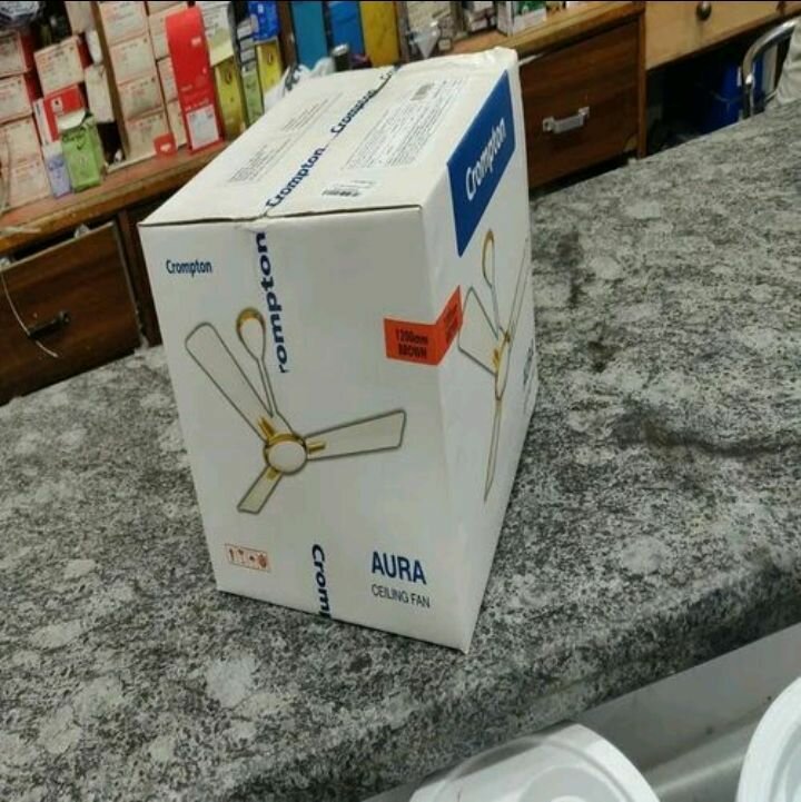 Ceiling fan