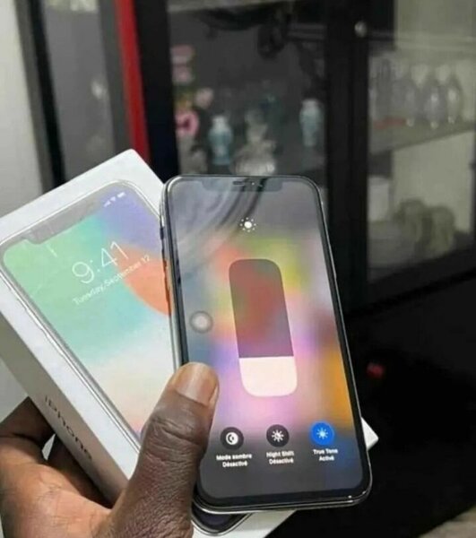 iPhone X Argent Neuf Débloqué