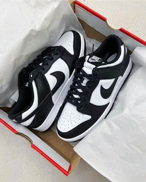 Chaussures Nike