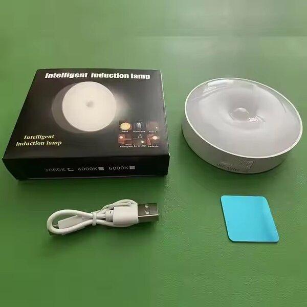 Lampe à induction intelligente LED
