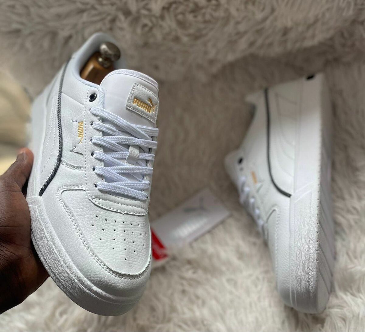 Gashlonf/puma