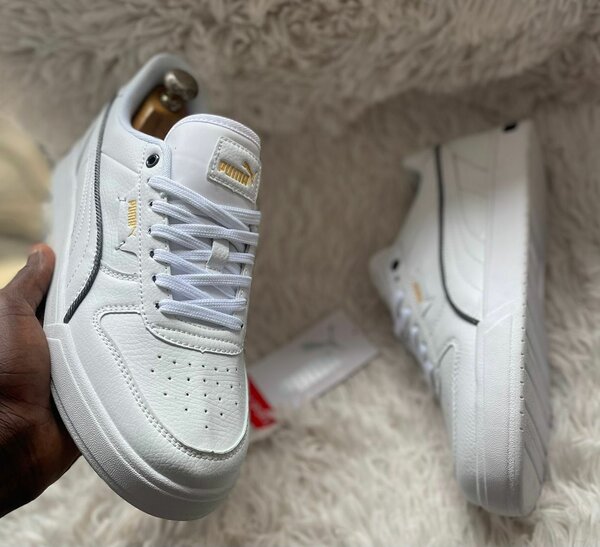 Gashlonf/puma