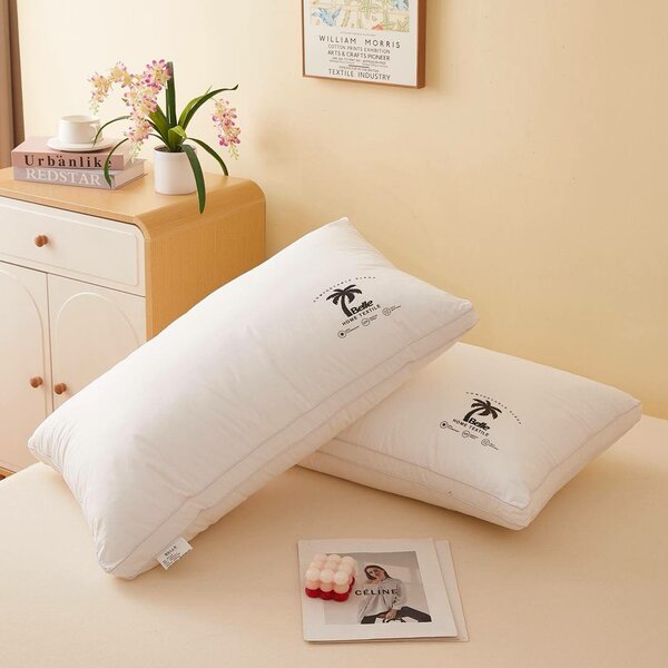 2 oreillers coussins bien doux