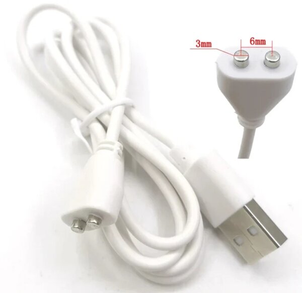 Magnetic vibrator charger