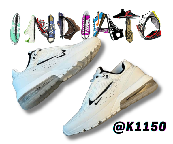 Nike Airmax Pulse