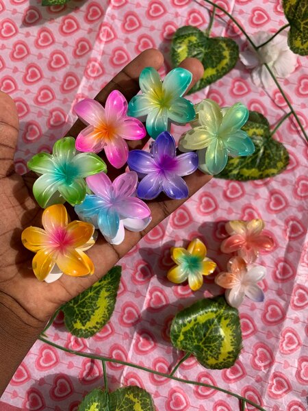 Mini pince de cheveux