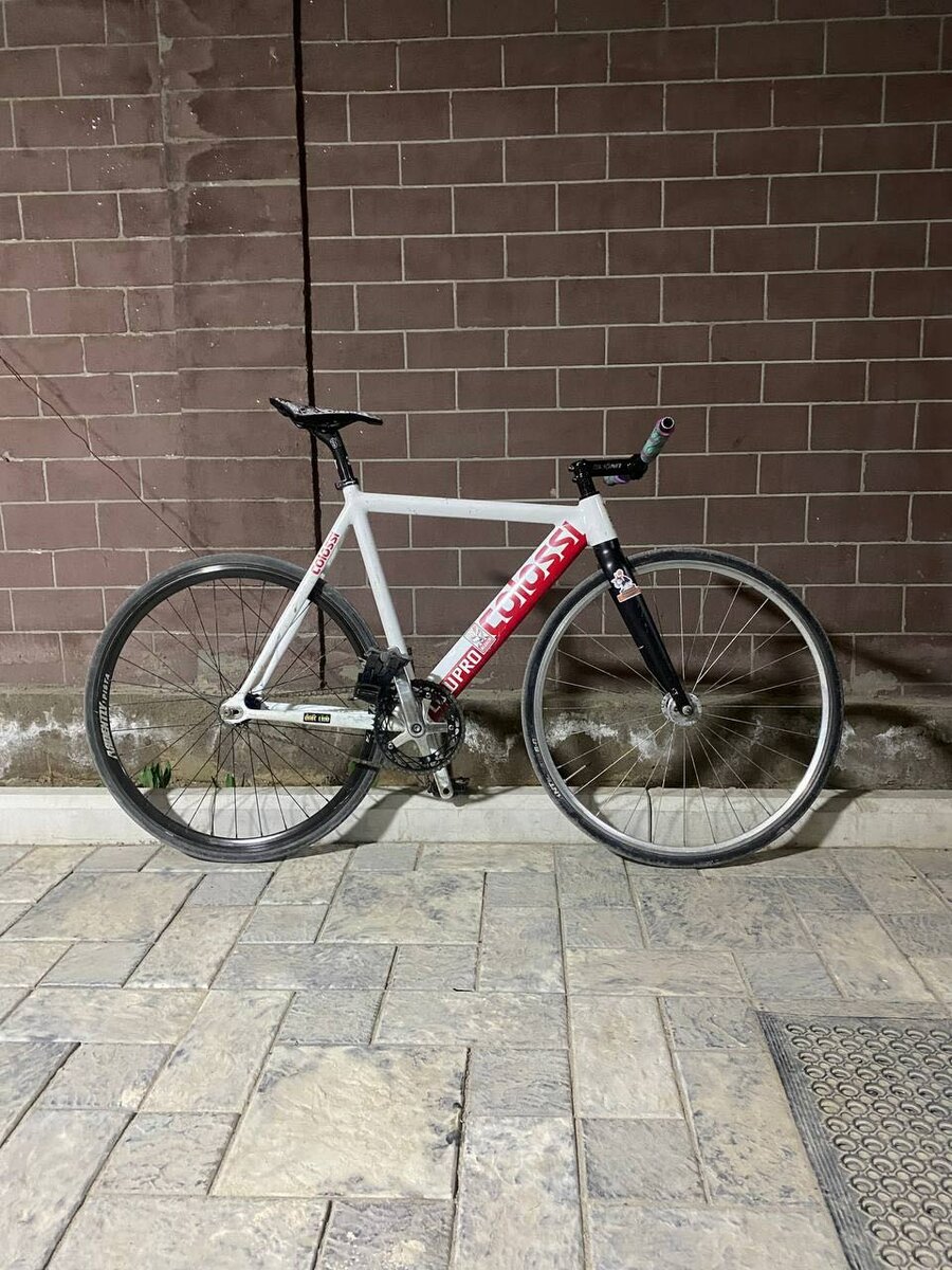 Colossi low pro