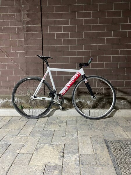 Colossi low pro