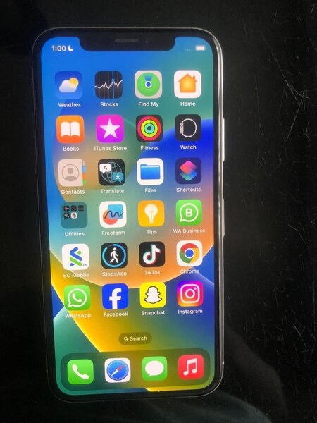 iPhone X