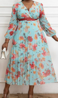Ladies dress