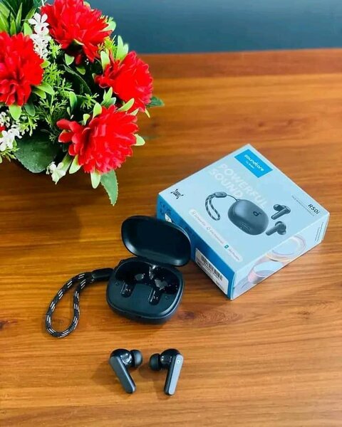 Ear Buds