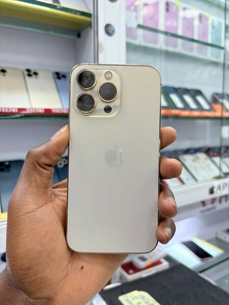 iPhone 13 Pro max