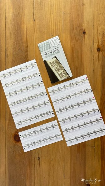 Silver Bible Tabs (Anglais)