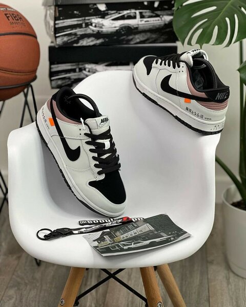 Nike Sb chaussures