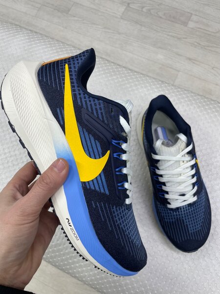 Nike pegasus 39