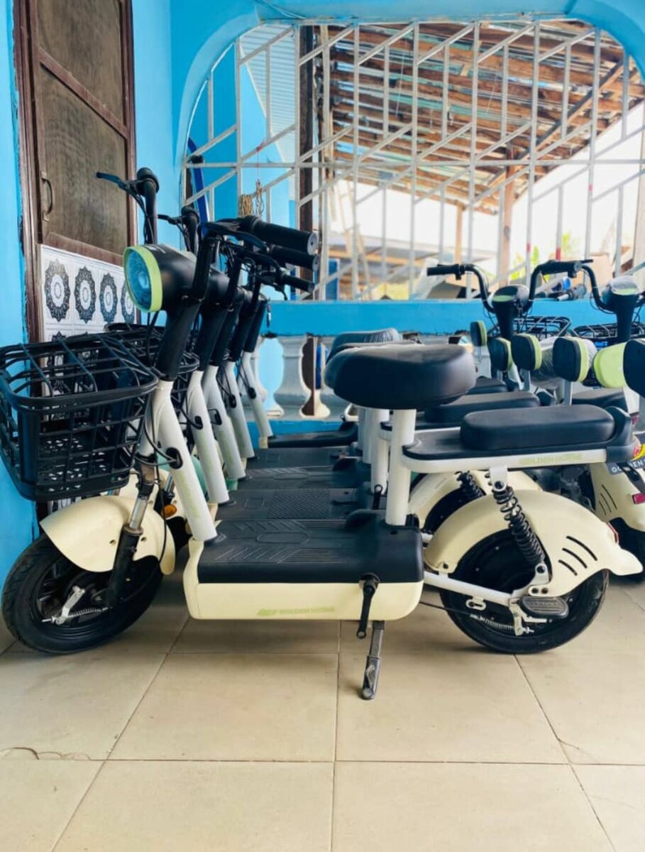 Electric motor bike