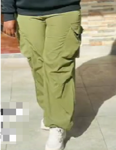 Cargo pants
